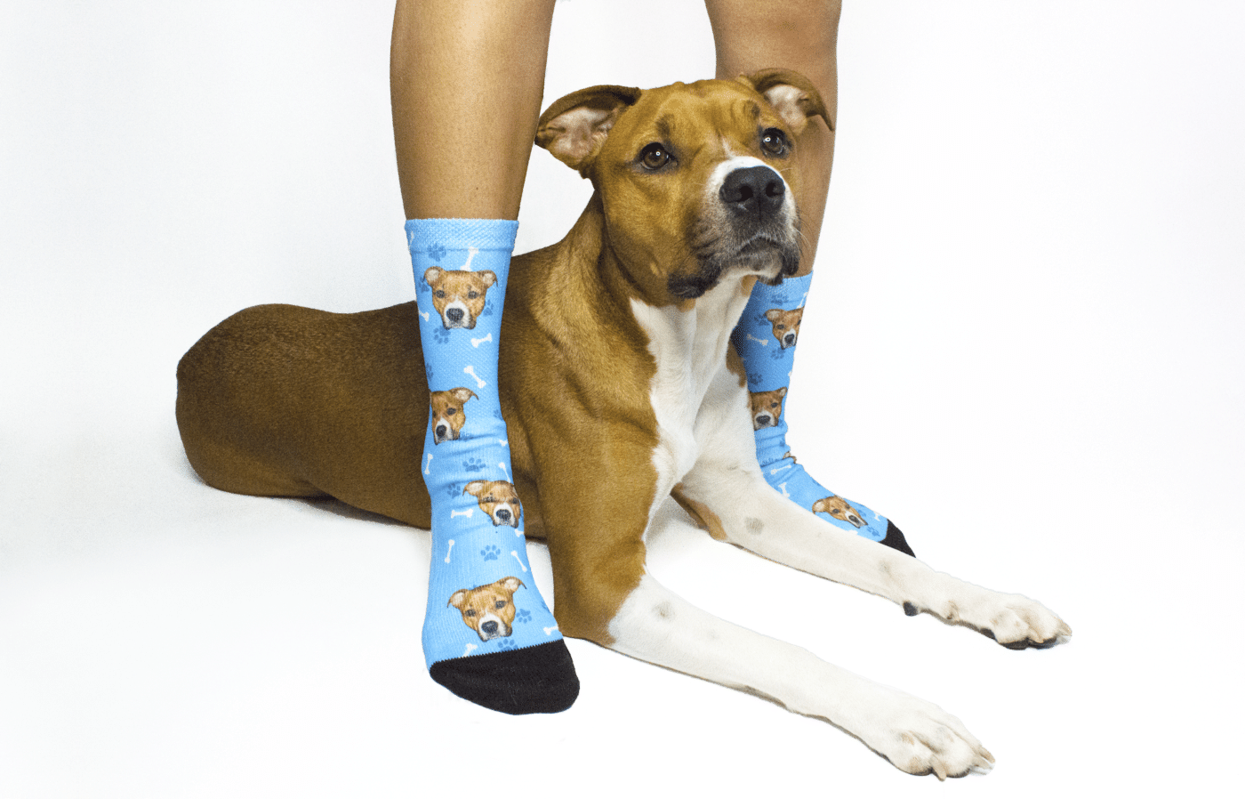 Chaussettes pour chien personnalisées avec photo, Nouveau hotspot !